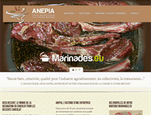 Tablet Screenshot of anepia.com